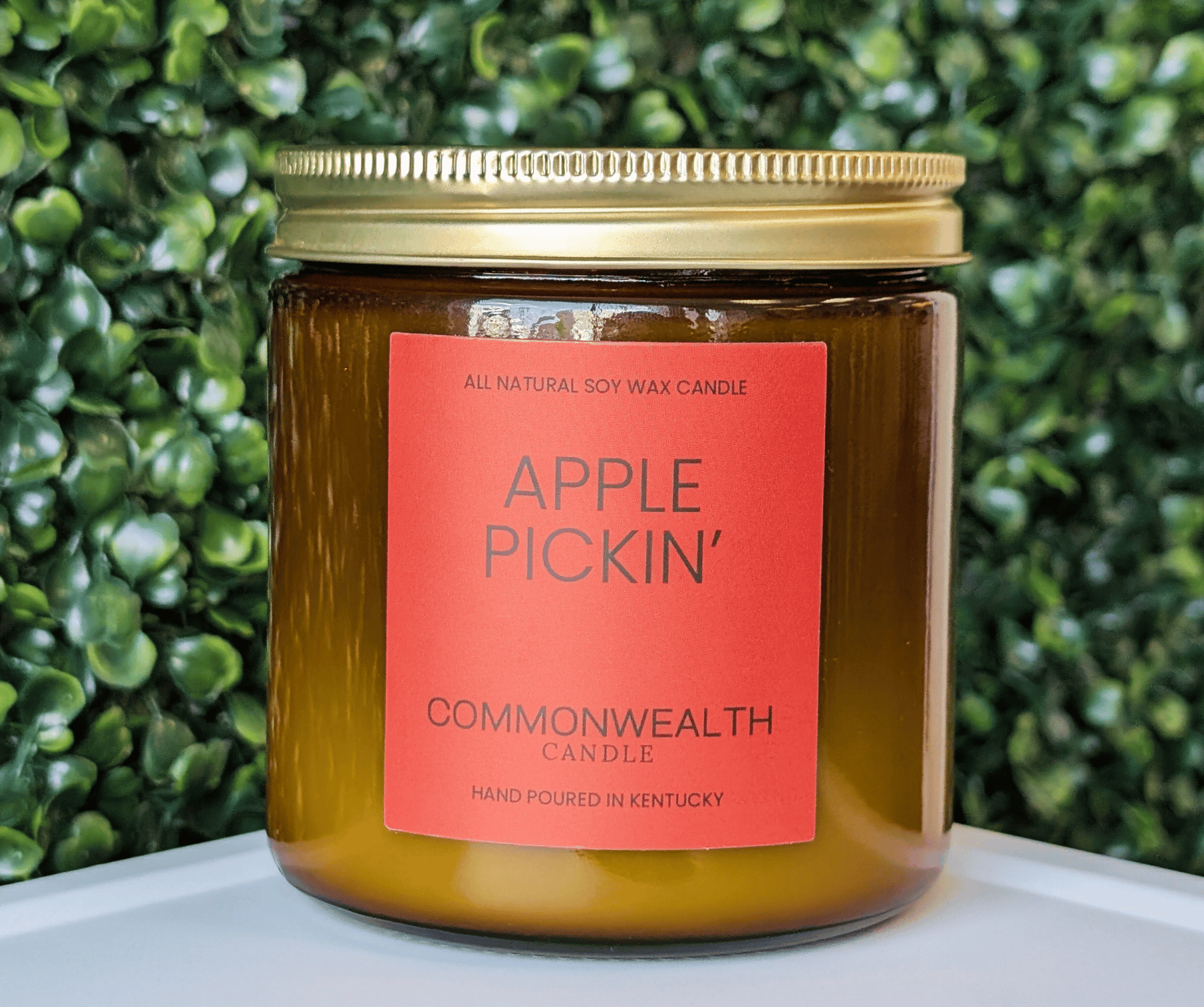 Apple Pickin'