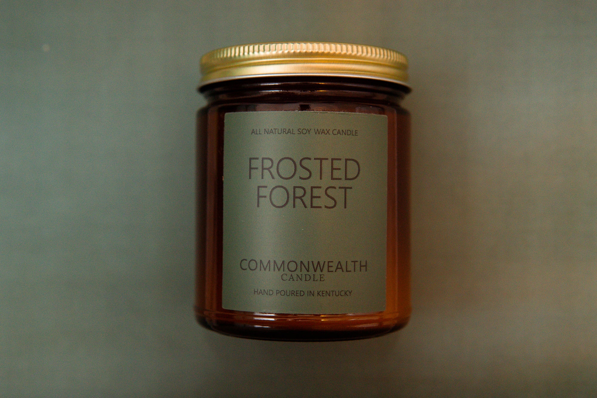 Frosted Forest
